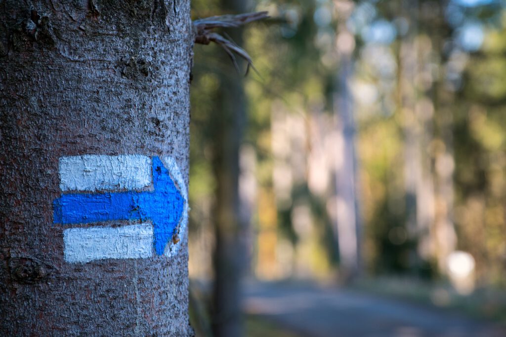 tourist marking, arrow, marking, direction, nature, designation, forest, signpost, trees, navigation, orientation